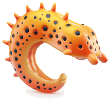 Orange, spiky sea creature toy, a playful design. png