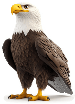 Majestic bald eagle, symbol of freedom, against contrasting colors. png