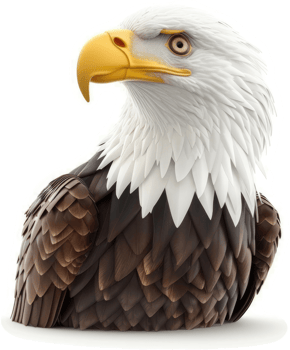 Detailed Illustration of an American Bald Eagle's Head and Neck. png