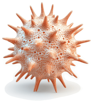 A three-dimensional rendering of a spherical virus. png