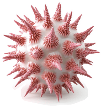 3d rendering of a spiky, spherical microorganism. png