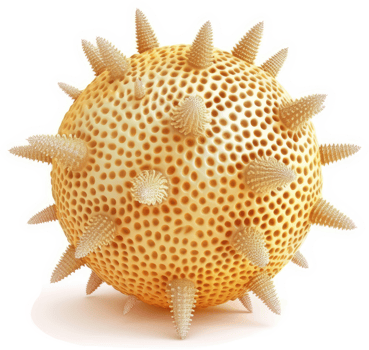 Rendered image of a spherical virus particle. png