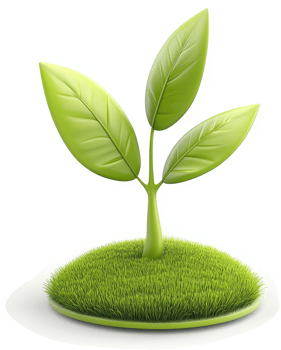 Freshly sprouted plant rests atop a grassy mound. png