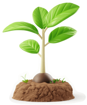 A vibrant young sapling emerges from fertile soil. png