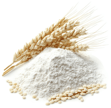 Wheat flour and wheat stalks represent a wholesome grain product. png