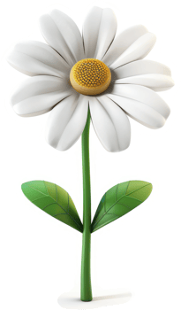 Vibrant white daisy with green stem and leaves. png