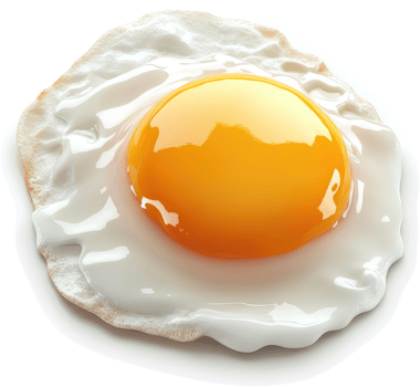 Perfectly cooked fried egg, golden yolk. png