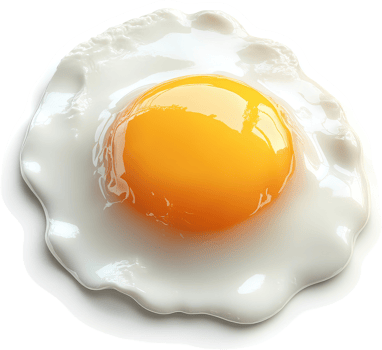 Fried egg with runny yolk, close-up view. png