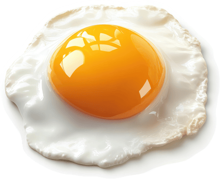 Frying Pan Fried Egg with Vibrant Yellow Yolk. png