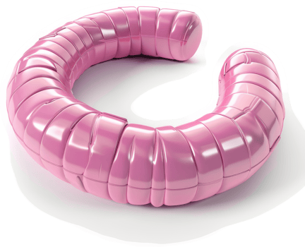 Pink, segmented, circular anatomical model. png