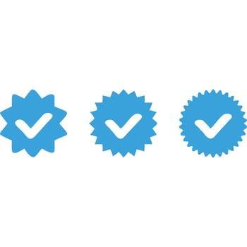 Four blue check marks on a white background vector