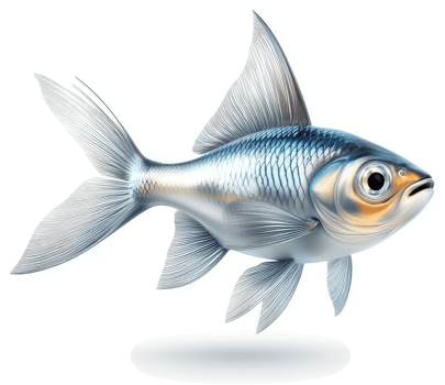 Detailed illustration of a silverfish swimming. png