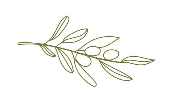 Olives Line Drawing. Floral Line Art. Fine Line Olive illustration. Hand Drawn Olives. Wedding invitation greenery vector