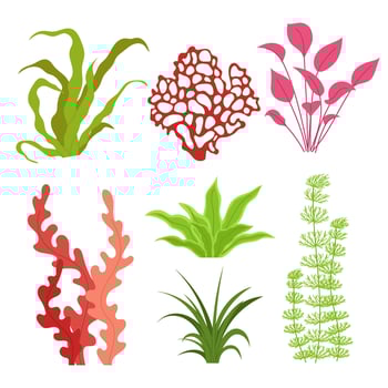 Set seaweed. Tropical underwater flora. Colorful underwater plant. Flat illustration of aquarium algae on a white background. vector