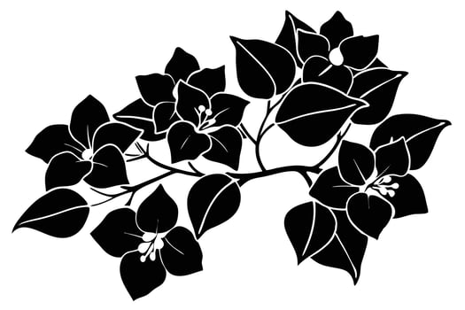 A Elegant Black and White Bougainvillea Branch Design vector