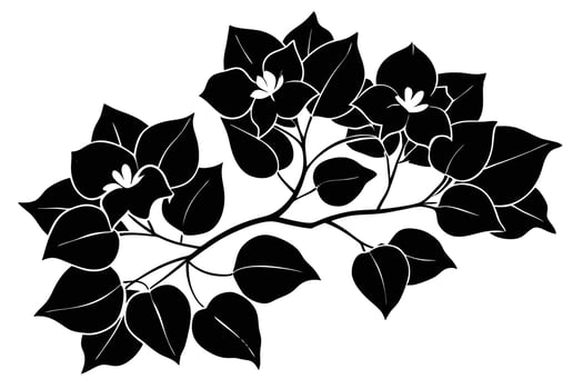 Elegant Black and White Bougainvillea Branch Design vector