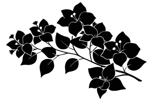 Elegant Black and White Silhouette of Bougainvillea Blooms vector