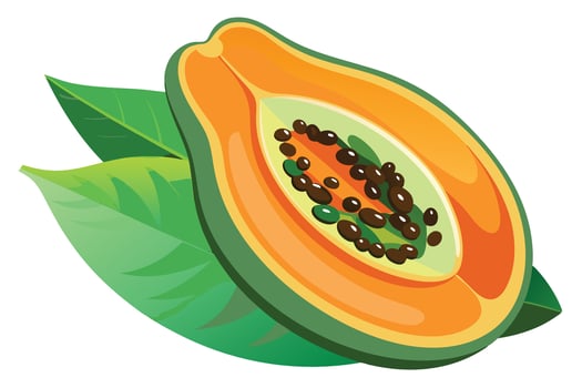 Colorful Illustration of a Papaya Half with Leaves vector