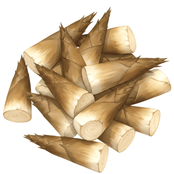 A watercolor pile of fresh bamboo shoots with pointed tips and cylindrical bases arranged together in a heap view on transparent background png