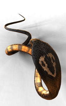 3d Illustration of The Majestic Cobra Elegance and Danger png
