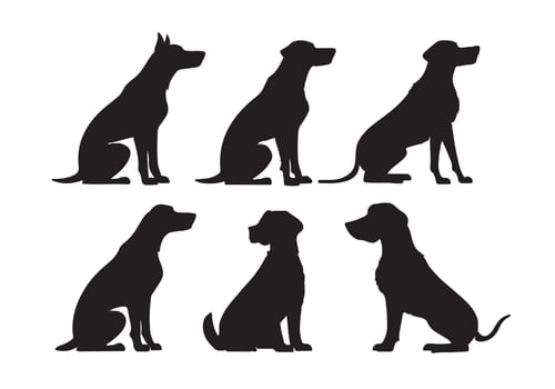 This illustration features a black silhouette set of various wild and farm animals, including a horse, dog, elephant, deer, cat, tiger, giraffe, and cow, representing a diverse collection of ma vector