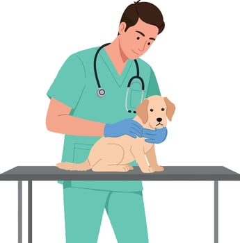 Male Veterinarian Examining Puppy on Metal Table in Medical Clinic Illustration vector