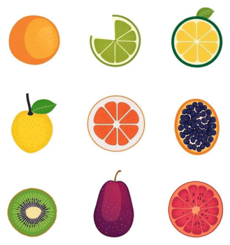 Colorful fruit slices and whole fruits illustration. png