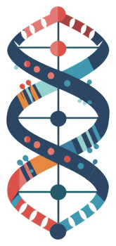 Colorful stylized representation of a dna double helix. png