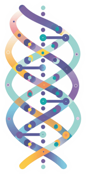 A stylized representation of a double helix dna molecule. png