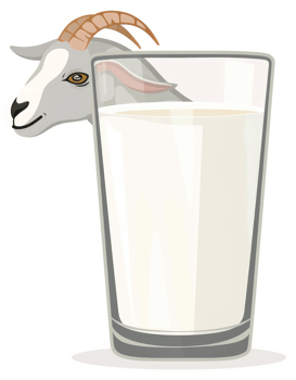 A goat and a glass of fresh goat's milk. png
