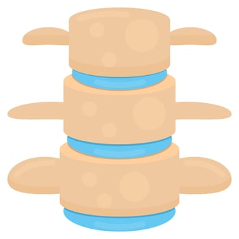 Spine flat icon vector