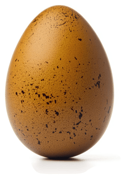 A close-up view of a speckled, golden-brown egg. png