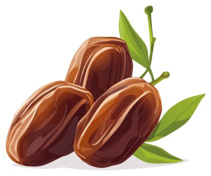 Three delicious dates with vibrant leaves. png