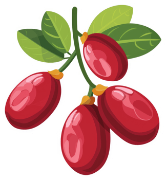 A cluster of vibrant red fruits with green leaves on a stem. png