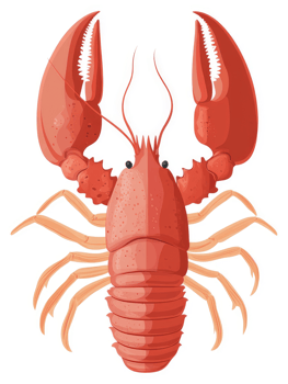 A vibrant illustration of a spiny lobster. png