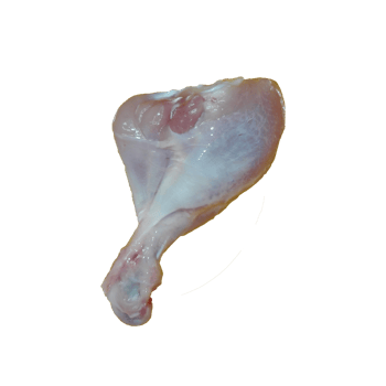 Chicken drumstick on transparent background png