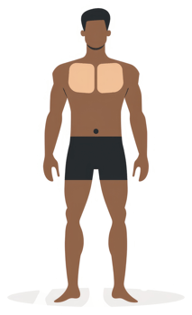Male figure illustration highlighting chest and torso areas. png