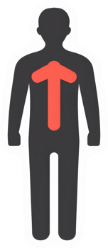 Graphic of a person with an upward-pointing red arrow on the chest. png