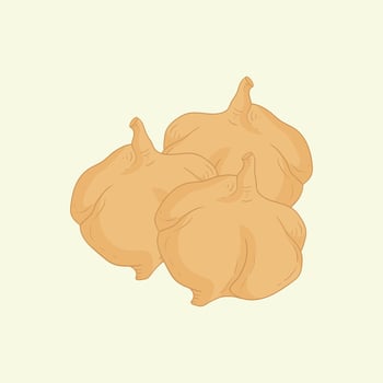 Jicama Fruit Flat Design Cartoon Icon Illustration vector