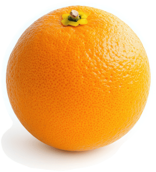 Close-up of a single, ripe orange. png