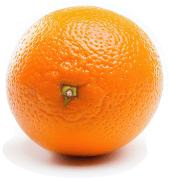 A close-up of a single, vibrant orange. png