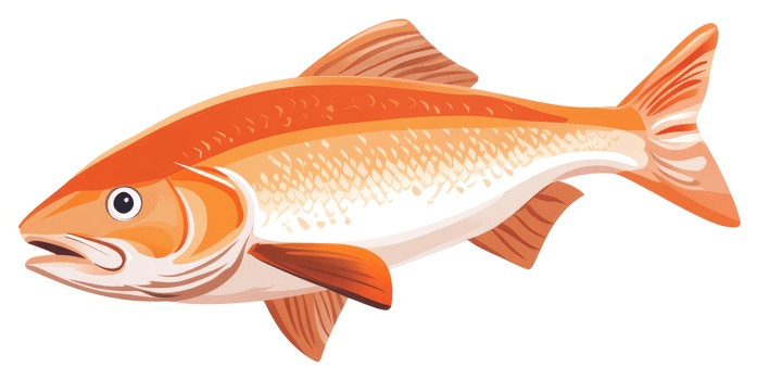 A vibrant illustration of an orange fish. png
