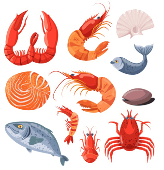 Colorful illustration of various seafood types. png