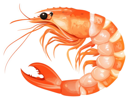 A vibrant illustration of a whole cooked shrimp. png