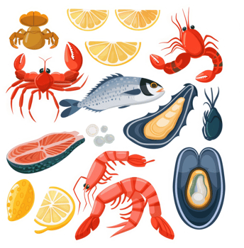 A colorful collection of various seafood items. png