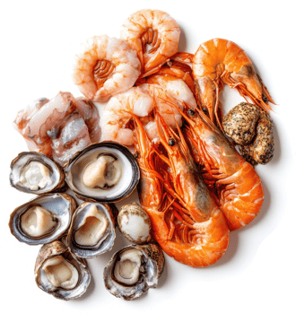 Assorted fresh seafood, including prawns, shellfish, and squid. png