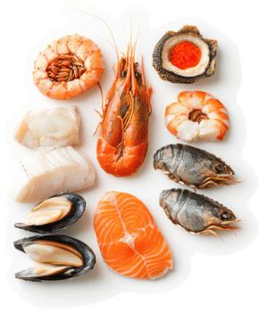 A variety of fresh seafood including shrimp, fish, and shellfish. png
