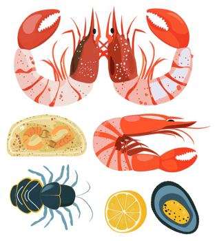 Assorted seafood and shellfish illustration. png