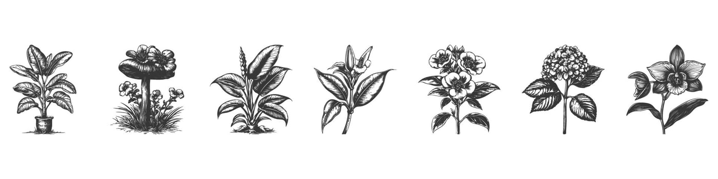 Vintage Botanical Plant And Flower Illustration Set. Nature'S Diversity And Beauty In Hand Drawn Sketch Style. Isolated Illustration vector