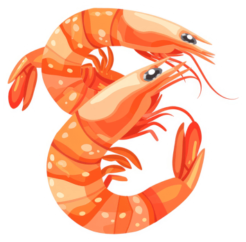 Two vibrant orange shrimp in an artistic design. png